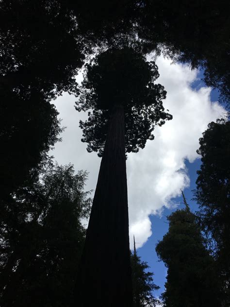 Tule River Indian Tribe – Turtle Talk