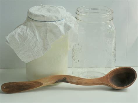 DIY: Make Your Own Kefir - Kiku Corner