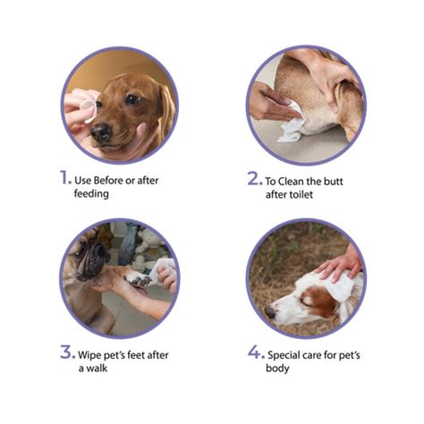Goofy Tails – Wagr Petcare
