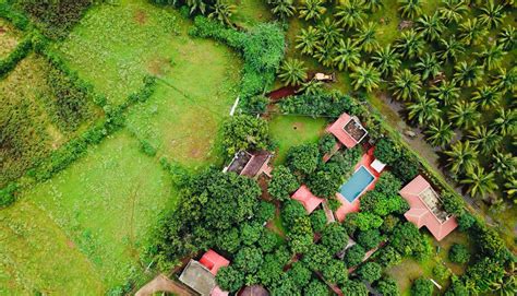 Best Jungle Resorts and Luxury Hotels in Topslip, Pollachi, Coimbatore ...