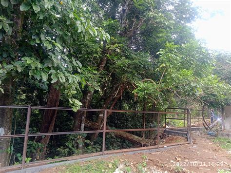 KIIDC - KIIDC Project Monitoring System