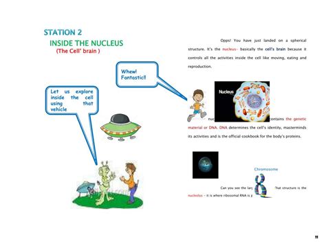 How to Make Module 的图像结果