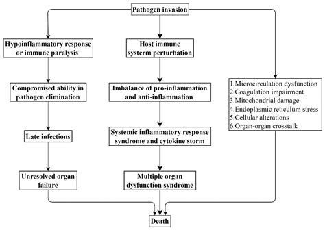 Gases in Sepsis: Novel Mediators and Therapeutic Targets