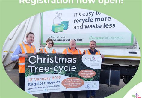 Image result for St. Helena Tree Felling