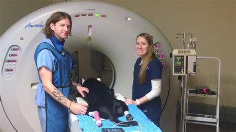 Why Are Vet Techs Important