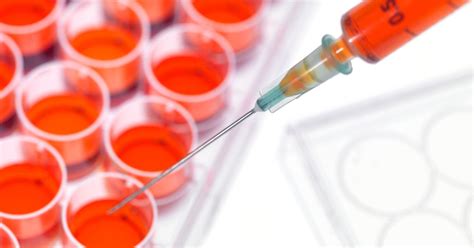 Cell Injection 的图像结果