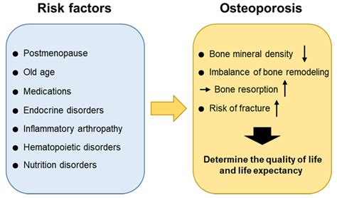Osteoporosis Diagnosis