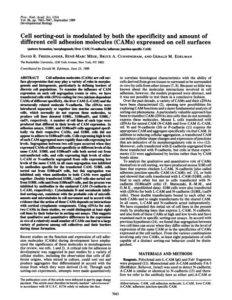 Image result for Adhesion Cell Sorting