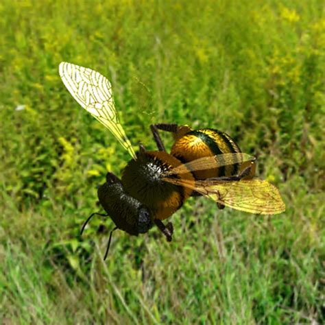 Image result for Max Bee Control Line