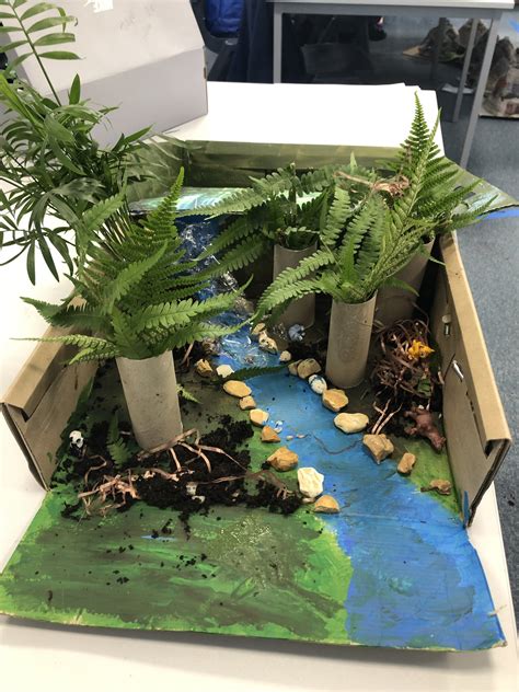 Tropical Rainforest Diorama Shoebox 13 Easy And Creative Diorama Ideas