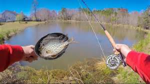 Fly Fishing Catch & Cook: Because Grocery Stores Are Too Easy