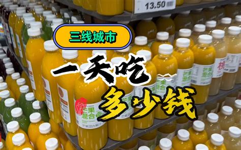 三线城市、一家四口、一天吃多少钱-六哥逛超市--六哥逛超市--哔哩哔哩视频