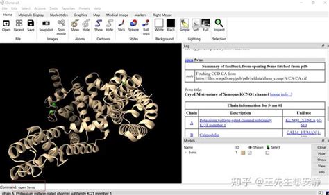 Chimerax SYM Function 的图像结果