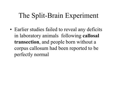 Contact Split Brain Behavioral Experiments 的图像结果