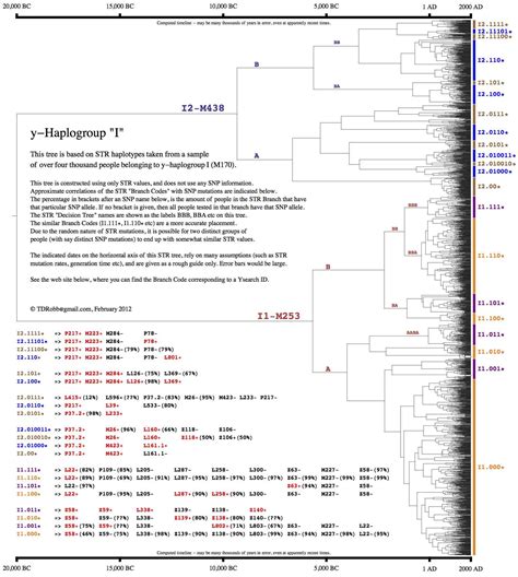 Haplogroup I1 Z63