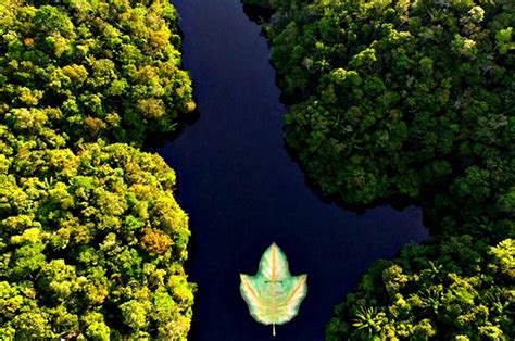 Amazon Array 的图像结果