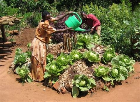 Image result for Keyhole Method