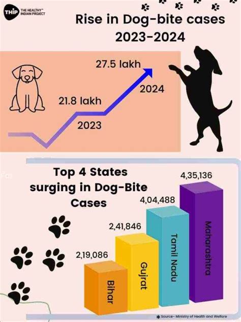 Empathy in effort: Precautions for stray dog bite incidents in India