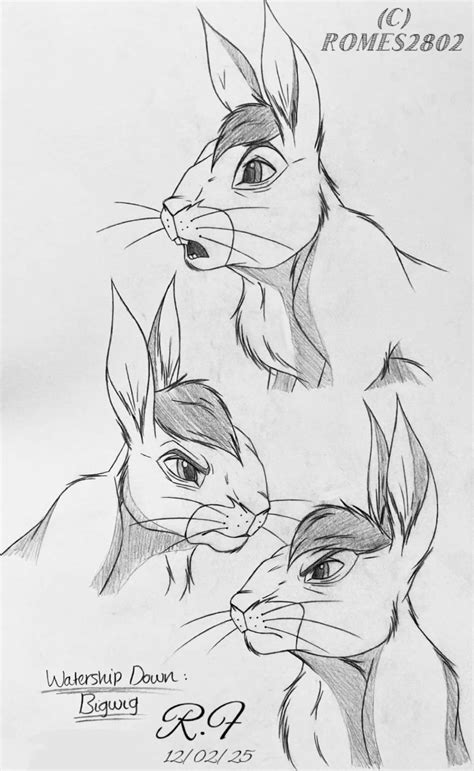Watership Down: Bigwig Sketch studies | Lord frith watership down ...