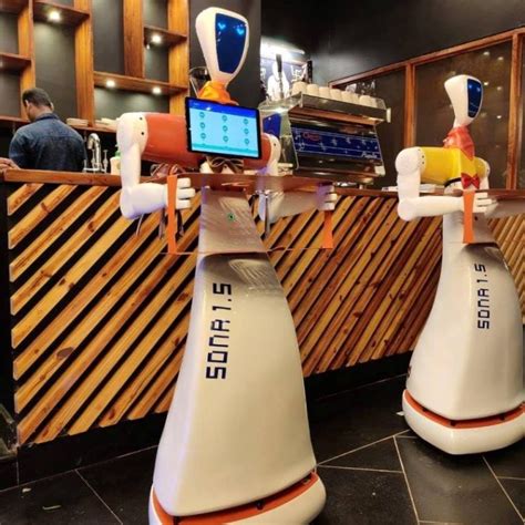 Visit This Odisha Restaurant To Have Your Food Served By Robots ...