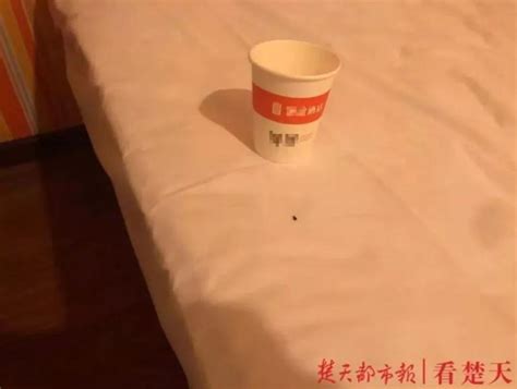 男子自称入住深圳一酒店睡觉时被老鼠咬醒，酒店：有计划地讹诈_凤凰网视频_凤凰网