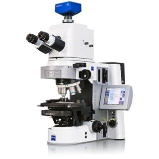 Fluorescence Microscope 的图像结果