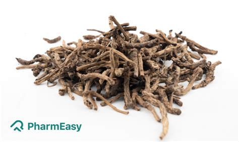 Kutki: Benefits, Uses, Side effects & More | PharmEasy