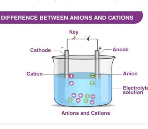 Explain cations and anions with example - Brainly.in