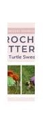 Image result for Crochet Turtle Step By