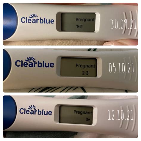 Clearblue Pregnancy Test With Weeks Indicator Instructions at Ryder ...