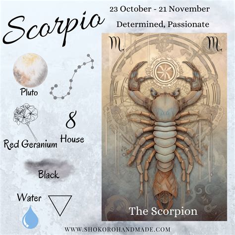 A Comprehensive Guide to Scorpio Zodiac Sign Personality Traits ...