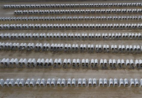 Cruel Practices in Farm Animal Husbandry - FOUR PAWS International ...