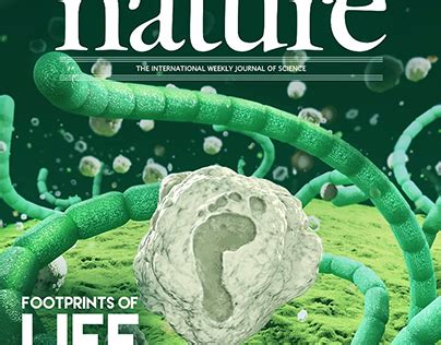 Nature Cover 的图像结果