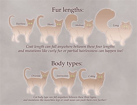 How to make your own Warrior Cats character | Warrior Cats