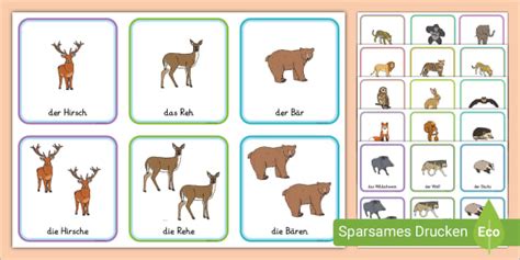 Wald- und Wildtiere - Wort- und Bildkarten | Grundschule ...