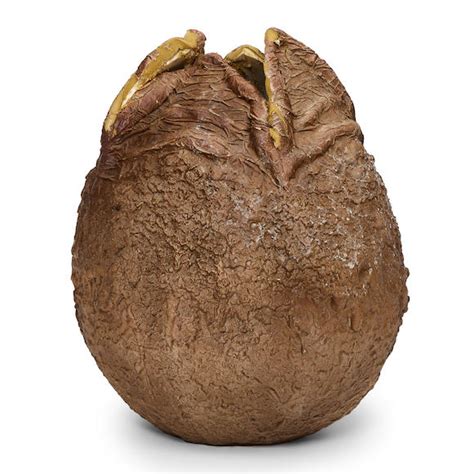 Alien vs Predator Egg Walmart 的图像结果