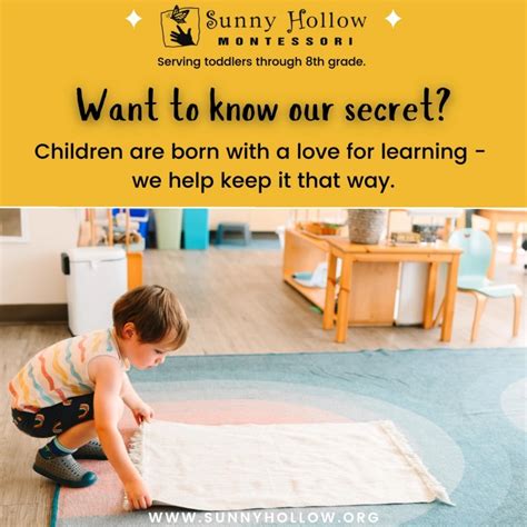 Sunny Hollow Montessori (@sunnyhollowmontessori) • Instagram photos and ...