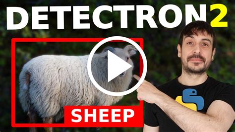 Image result for Detectron2 Rotated Bounding Box