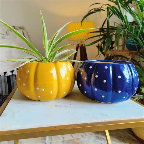Niyara Small Combo Ceramic planters Pot for Home Garden Balcony ...