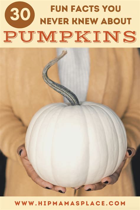 Pumpkin Trivia - 30 Fun Facts About Pumpkins You Never Knew | Pumpkin ...