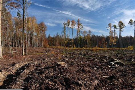 32 Facts About Environmental Geography - Facts.net