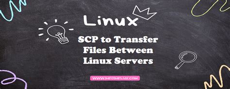 SCP File Transfer 的图像结果
