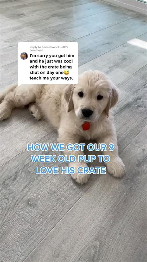 do you need to crate train a puppy