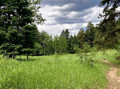 Indian Creek Loop Hike - Day Hikes Near Denver