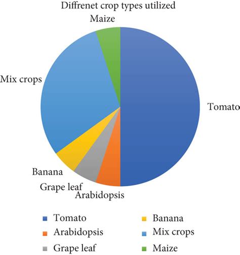 Deep Learning Crop Model 的图像结果