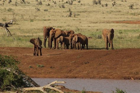 VOLI TOURS AND TRAVEL (2026) All You Need to Know BEFORE You Go (w ...