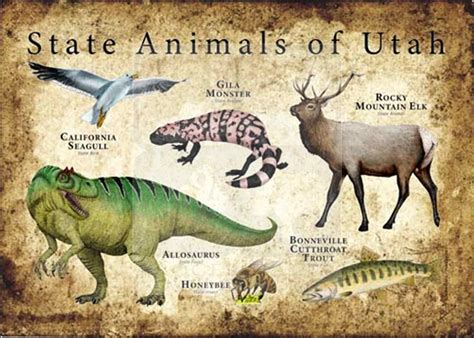 Utah State Animals Poster Print - inkart