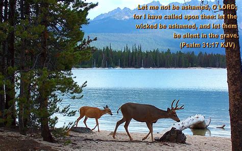 bible verse about nature clipart 10 free Cliparts | Download images on ...