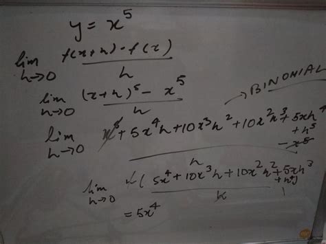 Differentiation using first principle Y=x^5.find dy/ dx - Brainly.in