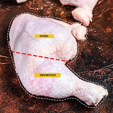 Drumette Vs Drumstick: Differences Between the Chicken Cuts - The Fork Bite
